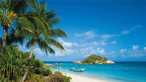 鸡装箱韩式炸鸡