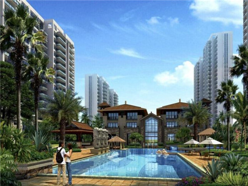 歪果仁煎饼果子