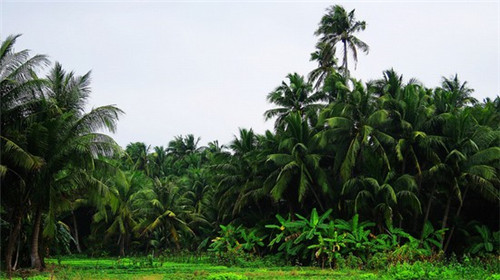 朵麻朵辣麻辣烫