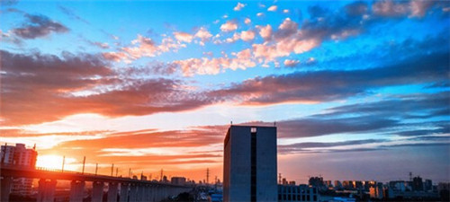 什么品牌的奶茶连锁店适合新手加盟，糖吉歌德加盟需要多少钱