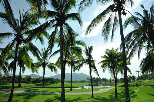 恩施魔芋小吃加盟费多少