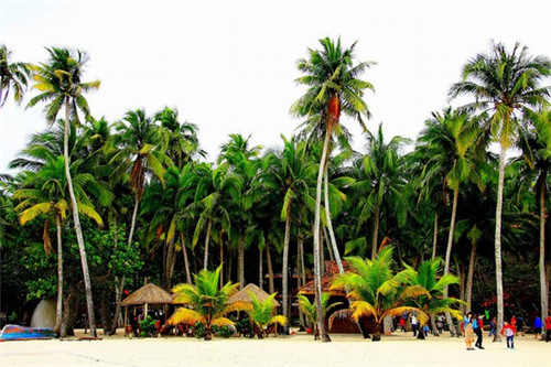 阿军特色烧烤加盟店有多少家，适合90后的烧烤项目有哪些