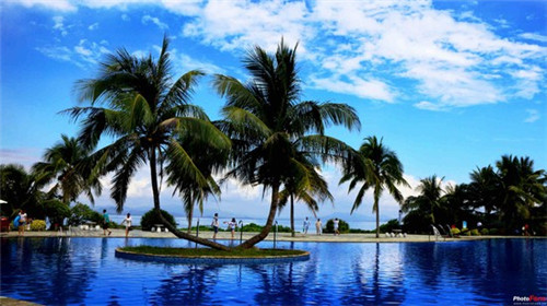 青龙县开店创业界面剂哪家品牌性价比高