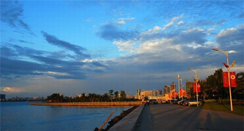 紫苏蒜子炒鸭子可以吃吗（紫苏炒鸭窍门）