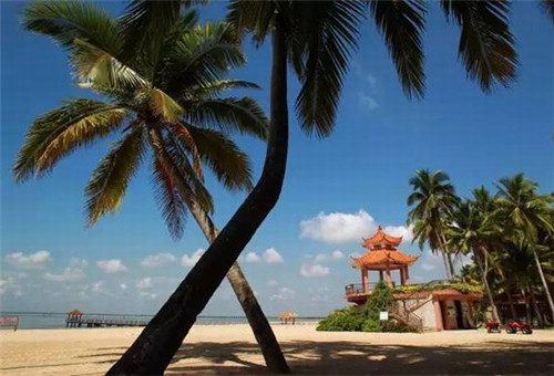 装修所有瓷砖需要泡水吗（装修瓷砖需要用好的吗）