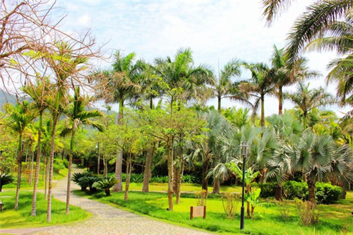 如何美化先装修后付款（先装修后付款广告词怎么写）