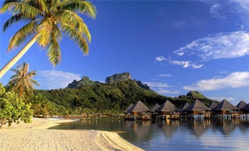 地球十大排名巨兽是什么（地球十大霸主是什么）